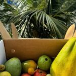 Cooking Class and Market Visit in Negombo - A Closer Look at the Itinerary