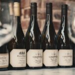 Cool Climate Chardonnay Masterclass in Denmark Australia - Why This Tour Works Well