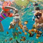 Coral and Racha Island Day Trip with Boat Party and Sunset BBQ - The Full Breakdown of the Experience