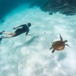 Coral Bay: Ningaloo Reef 3-Hour Turtle Ecotour - The Price and Value