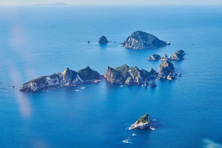 Coromandel and Cathedral Cove Scenic Flight from Tauranga - Who Will Love This Experience?