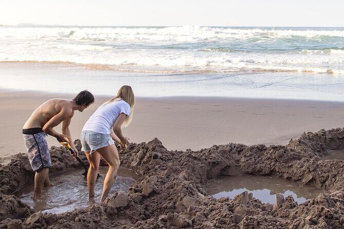 Coromandel Cathedral Cove and Hot Water Beach Tour from Auckland - Lunch in Hahei: A Relaxed Break