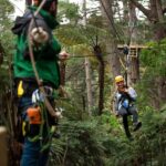 Coromandel: Guided Zipline Tour Experience - The Practical Details