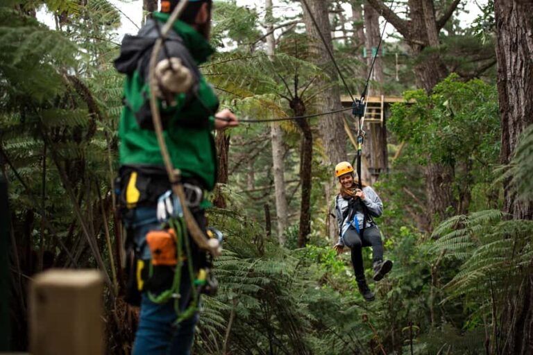 Coromandel: Guided Zipline Tour Experience - The Practical Details