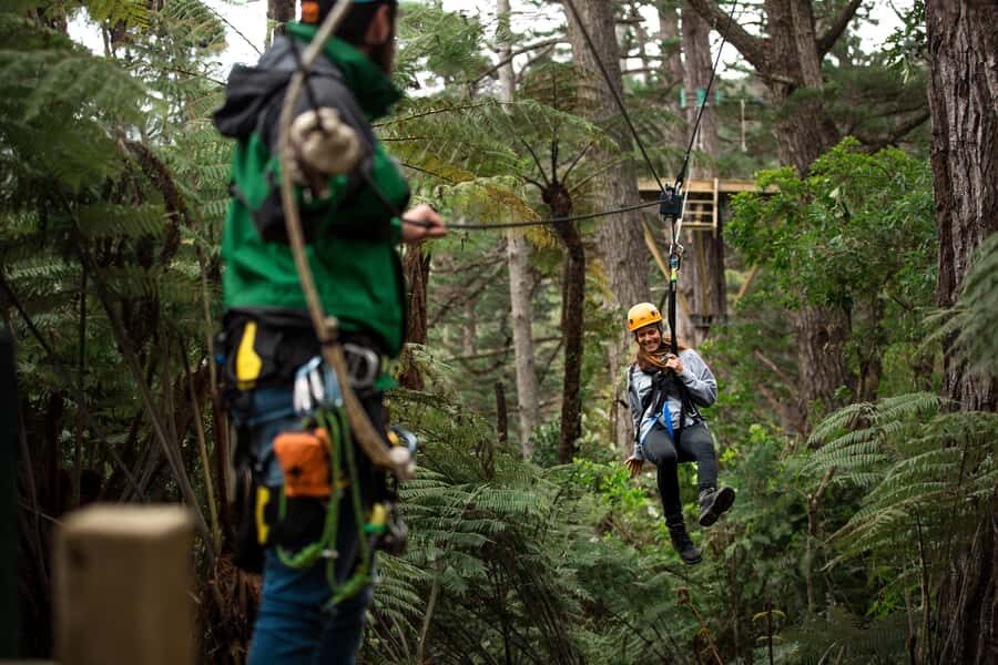 Coromandel: Guided Zipline Tour Experience - The Practical Details