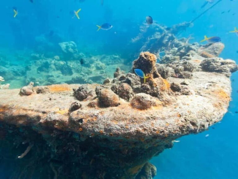 Coron Island: Reef and Wrecks Tour (JOINERS) - The Itinerary in Detail: What Will You Experience?