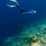 Coron: Pukaway Cave Underground Lake Tour w/Lunch (Shared) - What to Expect: Practical Details