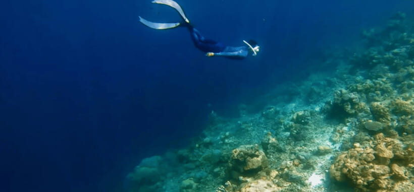 Coron: Pukaway Cave Underground Lake Tour w/Lunch (Shared) - What to Expect: Practical Details