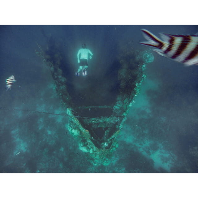 Coron: Reef & East Tangat Wrecks Tour with Lunch - The Logistics and Inclusions