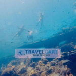 Coron Reef & Wrecks Tour - What to Expect at Each Stop