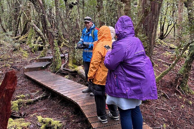 Cradle Mountain Half Day Dove Lake Guided Tour with Lunch - The Real Value of This Tour