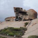 Cruise Ship Flinders Chase Tour - Transportation & Group Dynamics