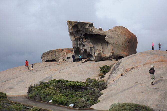 Cruise Ship Flinders Chase Tour - Transportation & Group Dynamics