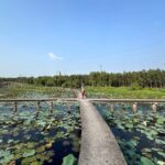 Cu Chi Tunnels and Tan Lap Floating Village Day Tour - Why This Tour Offers Great Value