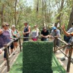 Cu Chi Tunnels Half Day Trip - The First Stop: Introduction & Documentary at Ben Dinh Tunnels