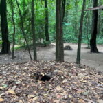Cu Chi Tunnels Tour: Learn More About Vietnam War History - The War Craters and Weapon Experience