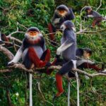 CUC Phuong National Park One Day Small Group - Things to Consider