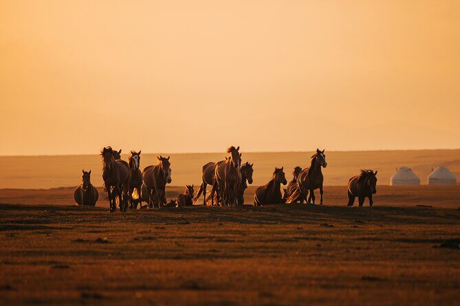 Cultural Tour at Kyrgyzstan in 8 days - Price and Value