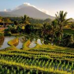 Custom Private Ubud Tour with Flexible Options & Tickets - Cultural Highlights: Ubud’s Artistic Heart