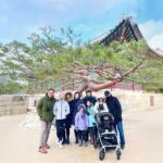 Customizable Seoul Private Tour Palaces Food and Markets - What Makes This Tour Stand Out?