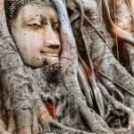 Customized 17 Days Classic Thailand, Cambodia & Vietnam Tour - Additional Insights and Practicalities