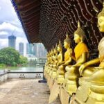 Customized Private Colombo City Tour with Local Insights - Who Is This Tour Best Suited For?