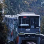 CyberChongqing: Neo-Futuristic City Tour - Practical Insights