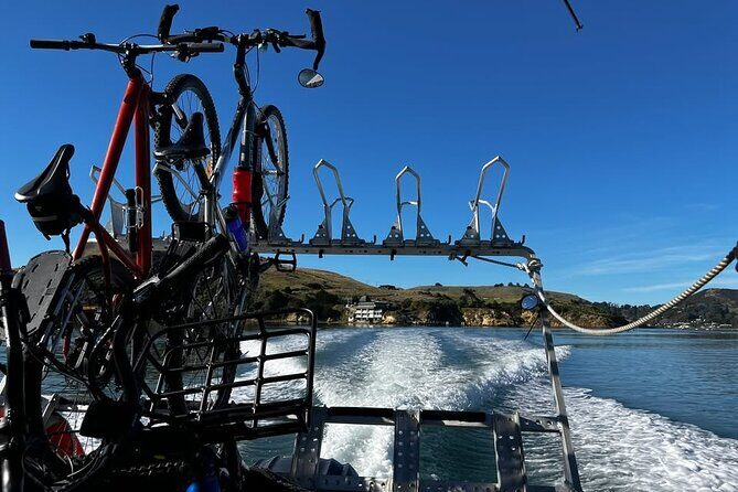 Cycle Ferry, Dunedin Harbour Cycle Trail - An In-Depth Look at the Dunedin Harbour Cycle Trail and Ferry