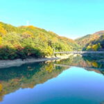 Cycling Tour at Uji's Matcha Green Tea Fields and Heritage - An In-Depth Look at the Uji Cycling Tour