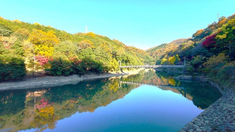 Cycling Tour at Uji's Matcha Green Tea Fields and Heritage - An In-Depth Look at the Uji Cycling Tour