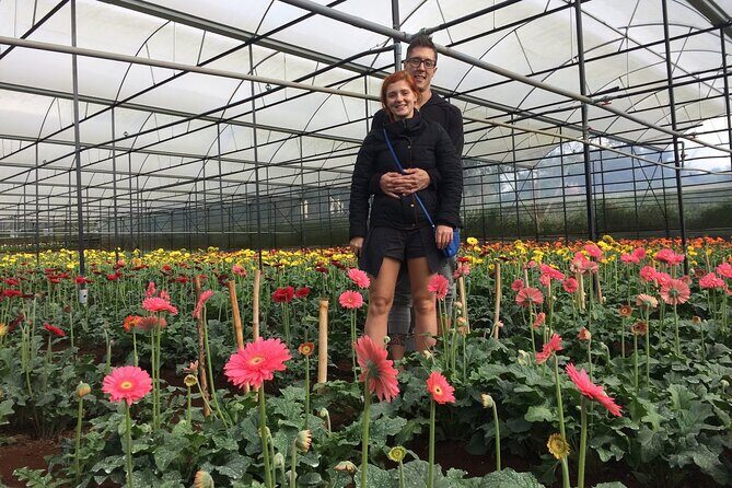 Da Lat : Explore Elephant Falls,Silk Village and Countryside - Who Should Book This Tour?