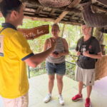 Da Nang City Adventures by Motorbike - Transportation, Timing, and Practical Details