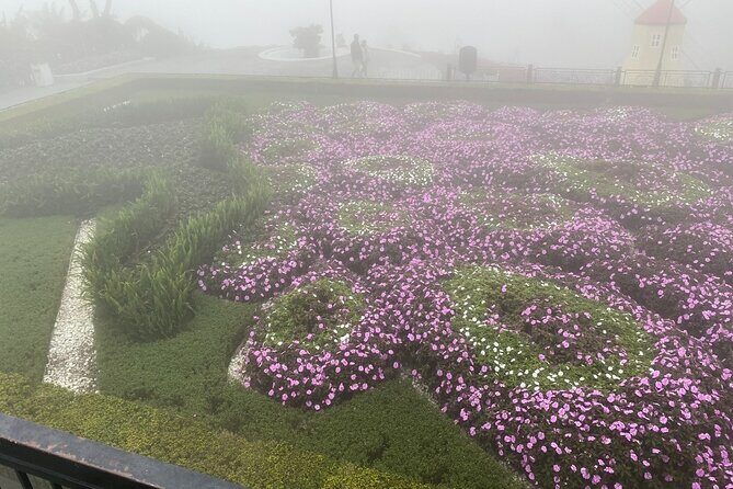 Da Nang/Hoi An to Golden bridge-Bana hills Private Tour - Cost and Value Analysis