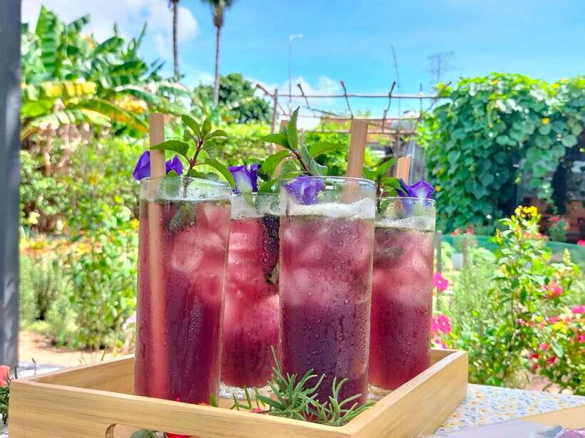 Da Nang Vegetarian Cooking and coffee Class - Final Thoughts