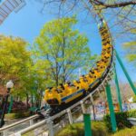 Daegu: E-World Theme Park & 83 Tower Observatory Ticket - What To Expect From Your Day