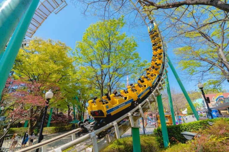 Daegu: E-World Theme Park & 83 Tower Observatory Ticket - What To Expect From Your Day
