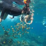 Daily West Nusa Penida Island and Snorkeling Tour with Lunch from Bali - The Itinerary in Detail