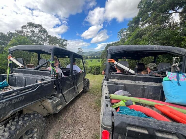 Daintree waters tour, all terrain vehicles and light lunch. - A Deep Dive into the Daintree Waters Tour