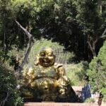 Dalat: Coffee Farm, Silkworms, Queen Temple and Orchard Tour - The Reality Check: What You Should Know