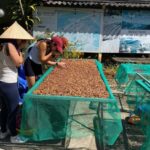 Dalat: Coffee Farm Tour with Pocahontas Cooking Class - Exploring the Experience Step-by-Step