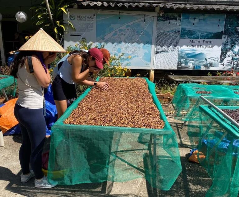 Dalat: Coffee Farm Tour with Pocahontas Cooking Class - Exploring the Experience Step-by-Step