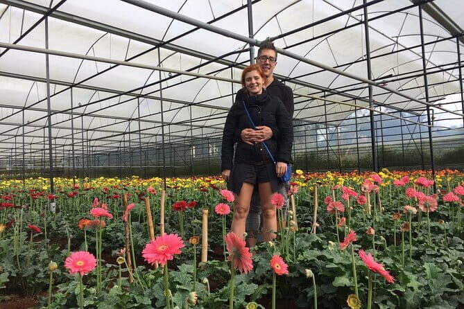 Dalat Discovery Elephant Falls , Pongour Falls & Countryside Tour - Authenticity and Value