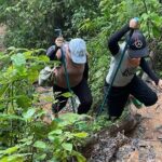 Dalat Pinhatt Peak Jungle Trek and Tuyen Lam Lake - Who Would Love This Tour?