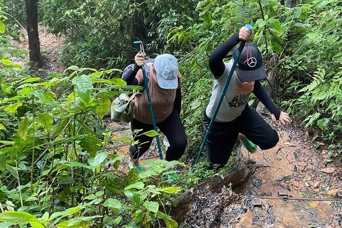 Dalat Pinhatt Peak Jungle Trek and Tuyen Lam Lake - Who Would Love This Tour?