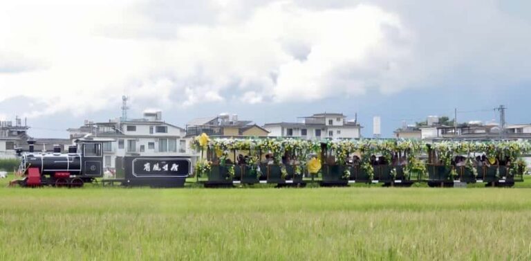 Dali: Chongsheng Temple, Xizhou, & Erhai Lake 1 Day Tour - What Makes This Tour Stand Out