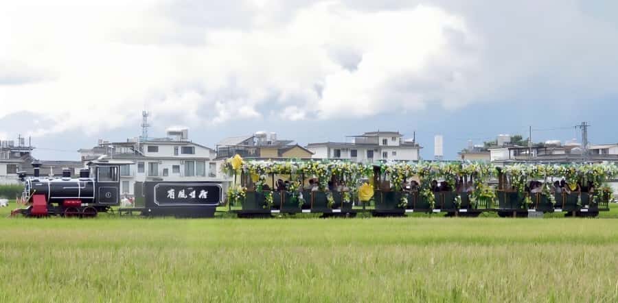 Dali: Chongsheng Temple, Xizhou, & Erhai Lake 1 Day Tour - What Makes This Tour Stand Out