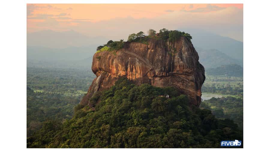 Dambulla: Sigiriya, Cave temple, Safari & Lunch Private Tour - Practical Details and What to Expect
