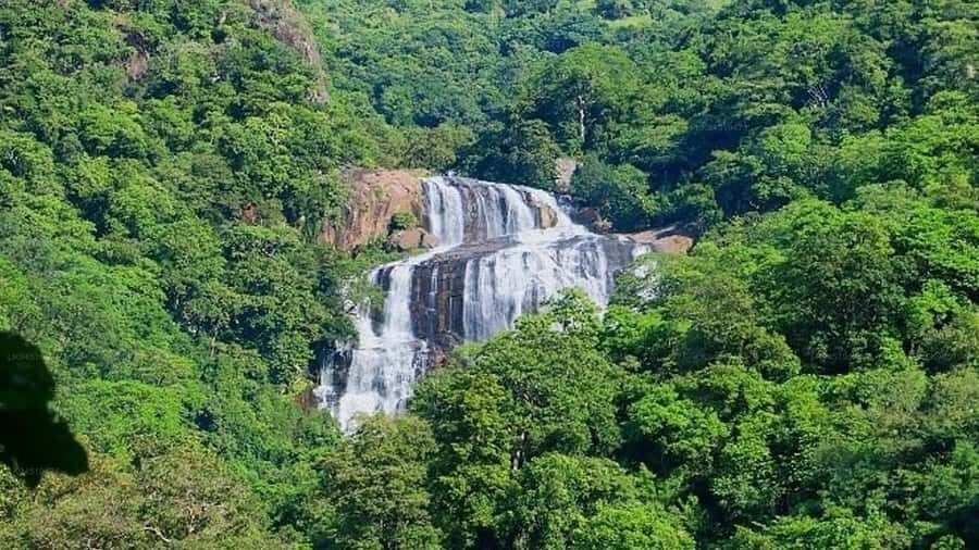 Dambulla: Waterfalls and Vedda Village with Kandy Drop-Off - Practical Details and Value