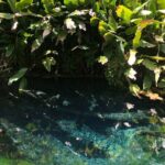 Dantewada Land of Angels and Sticky Waterfall Tour with Guide - An In-Depth Look at the Tour Experience