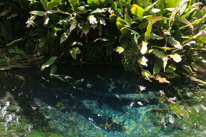 Dantewada Land of Angels and Sticky Waterfall Tour with Guide - An In-Depth Look at the Tour Experience